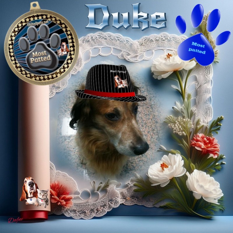 Duke King Of My Heart of the Asiya family