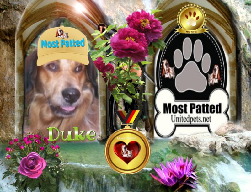 Asiya uploaded   68  day/s  ago