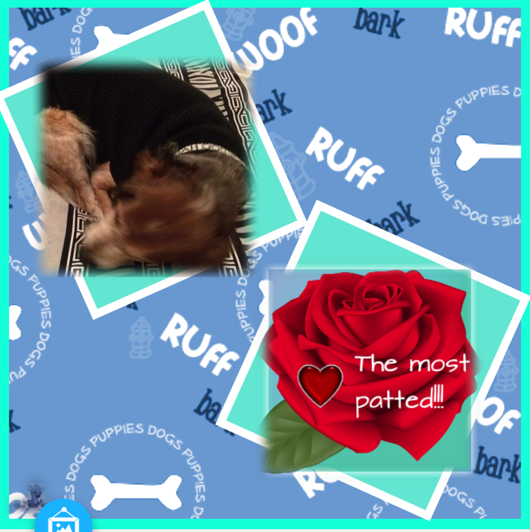 Asiya uploaded   65  day/s  ago