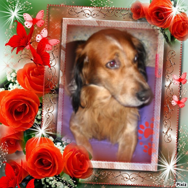 Asiya uploaded   68  day/s  ago