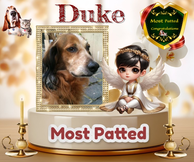 Asiya uploaded   66  day/s  ago