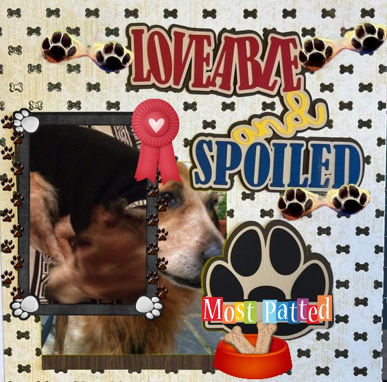 Duke King Of My Heart of the Asiya family