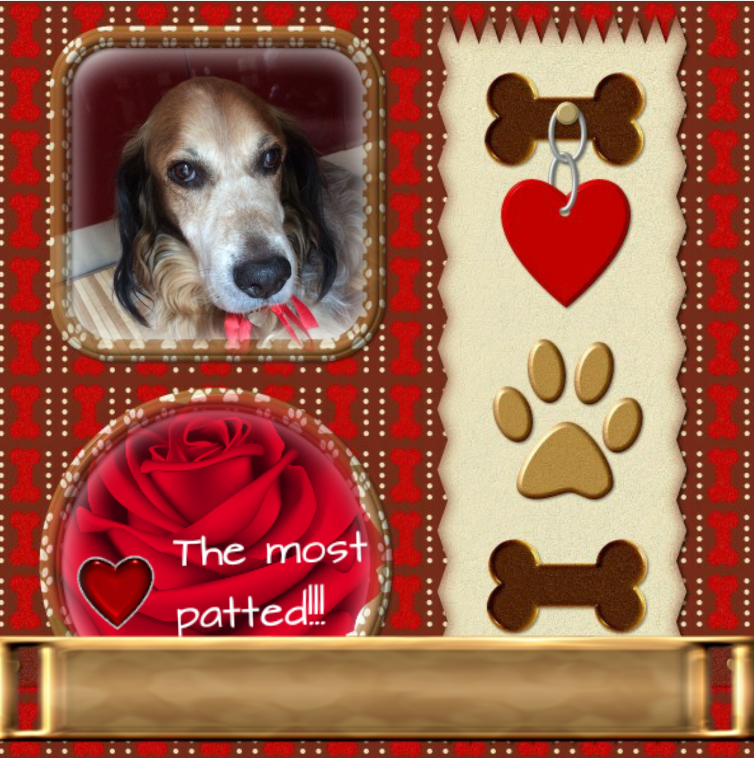 Duke King Of My Heart of the Asiya family