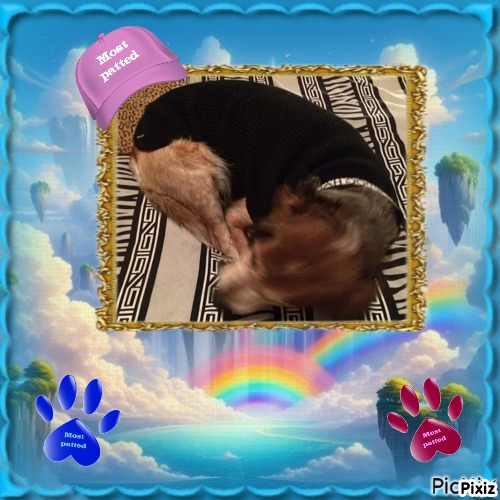 Asiya uploaded   69  day/s  ago