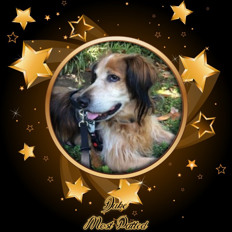 Asiya uploaded   67  day/s  ago