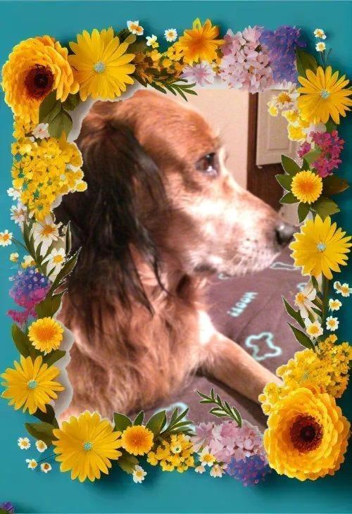 Asiya uploaded   1 hour/s ago