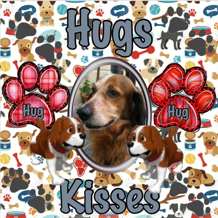 Duke King Of My Heart of the Asiya family