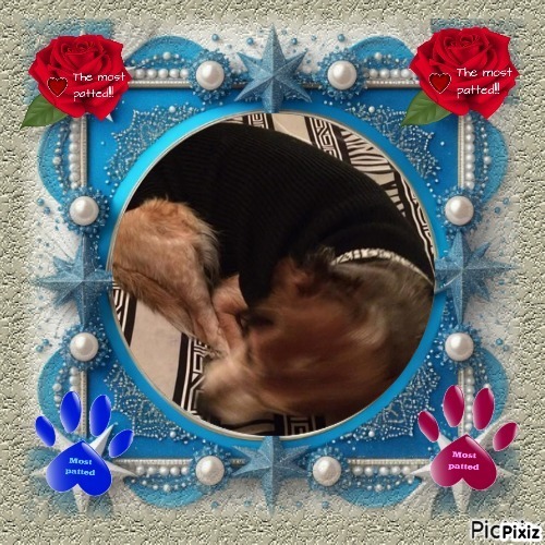 Asiya uploaded   69  day/s  ago