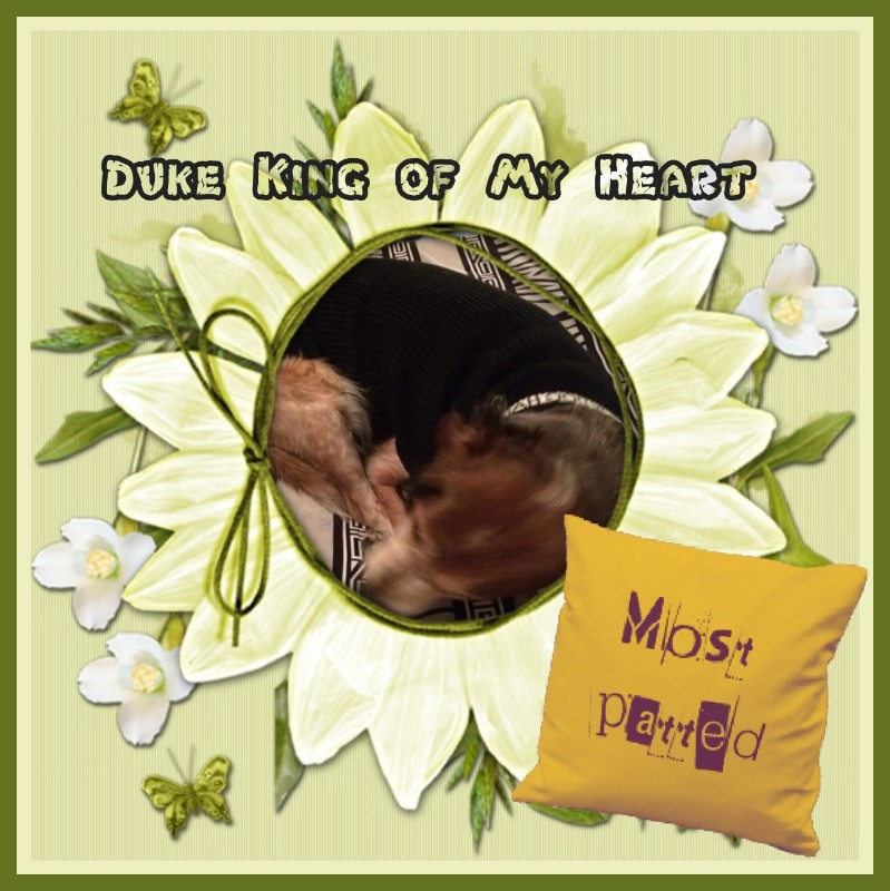 Asiya uploaded   67  day/s  ago