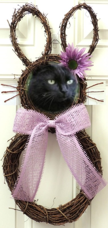 Nikita of the Asiya family