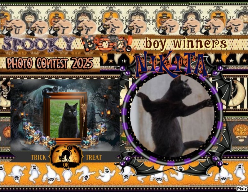 Asiya uploaded   191  day/s  ago