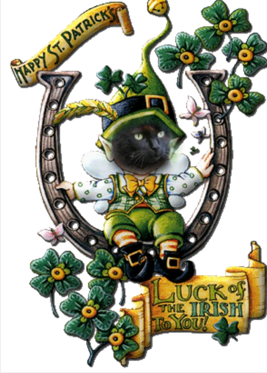 Nikita of the Asiya family