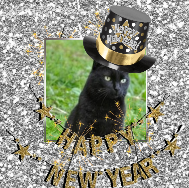 Nikita of the Asiya family