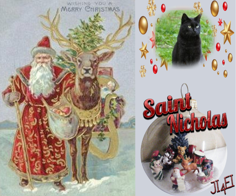 Nikita of the Asiya family