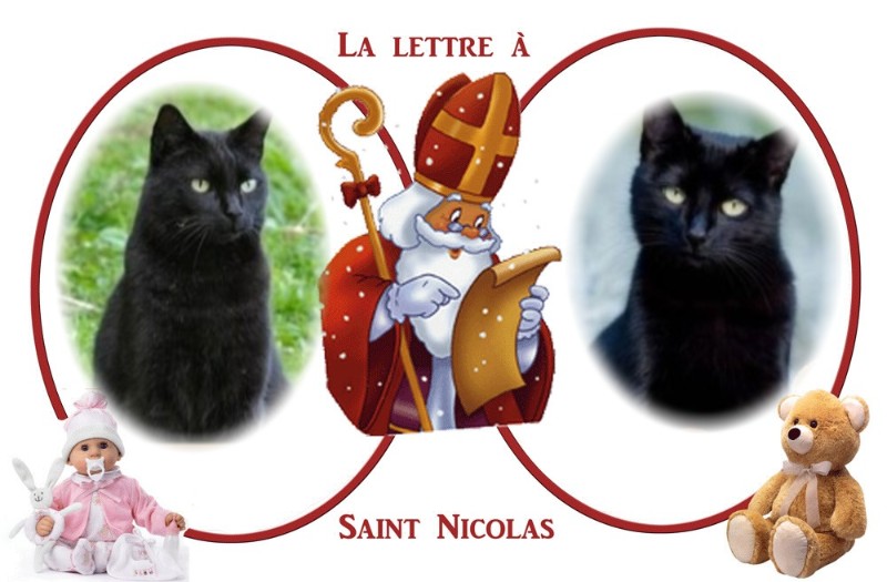 Nikita of the Asiya family