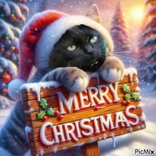 Nikita of the Asiya family