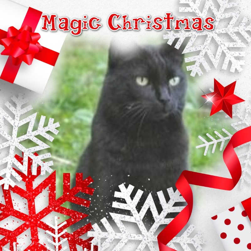 Nikita of the Asiya family