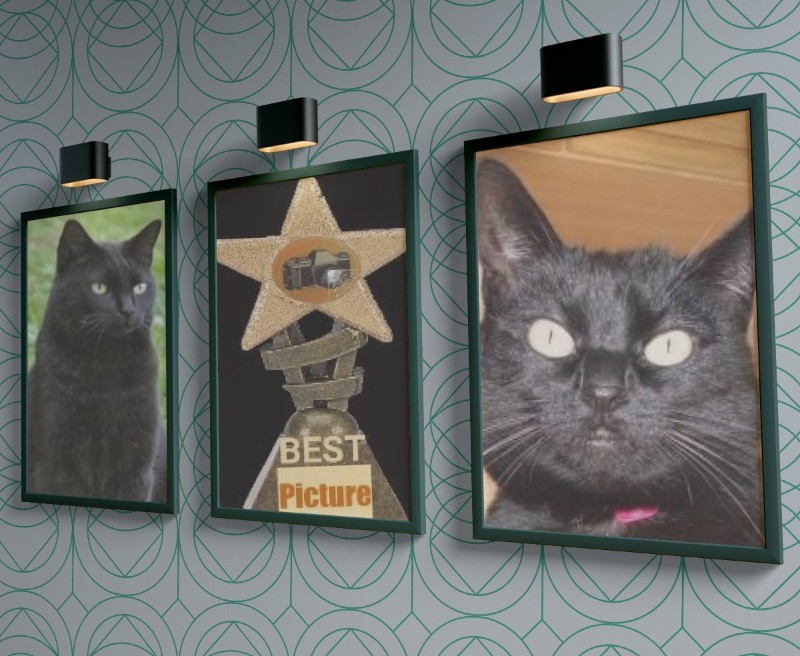 Nikita of the Asiya family