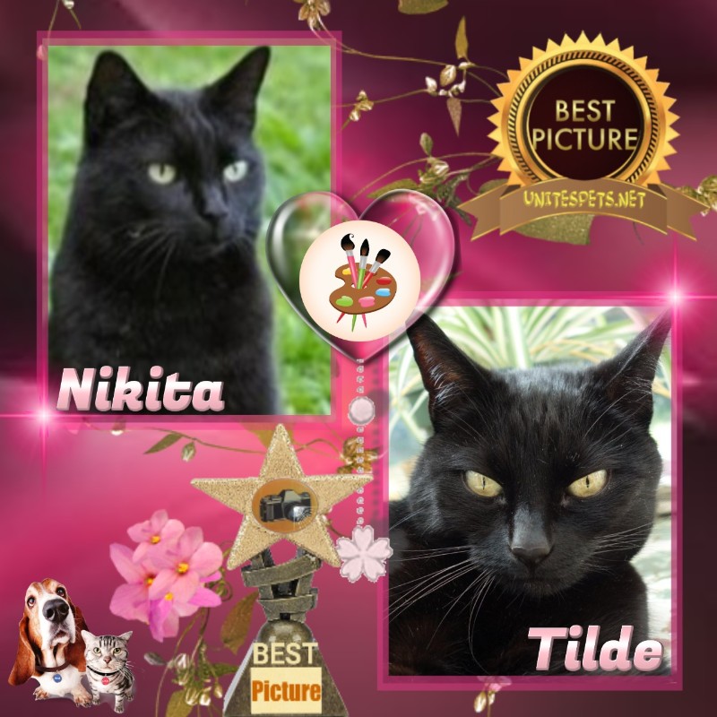 Nikita of the Asiya family