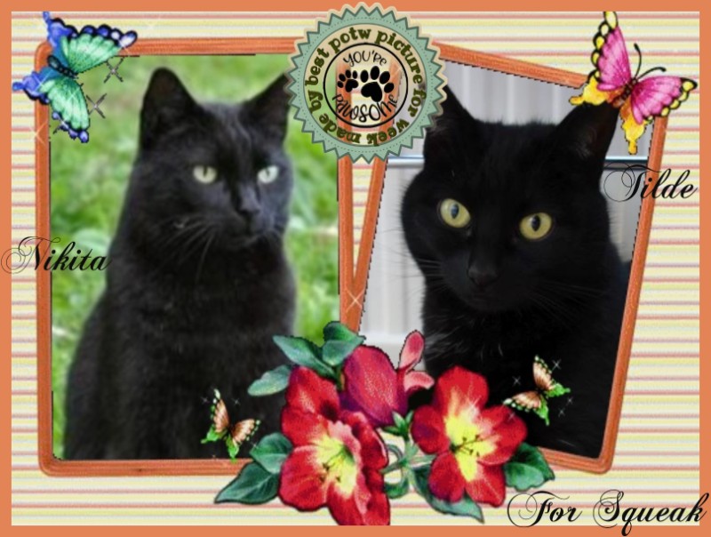 Asiya uploaded   89  day/s  ago