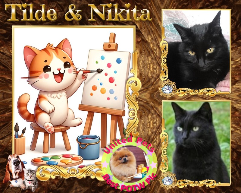 Asiya uploaded   89  day/s  ago