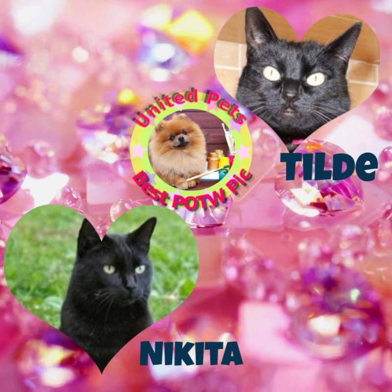 Nikita of the Asiya family