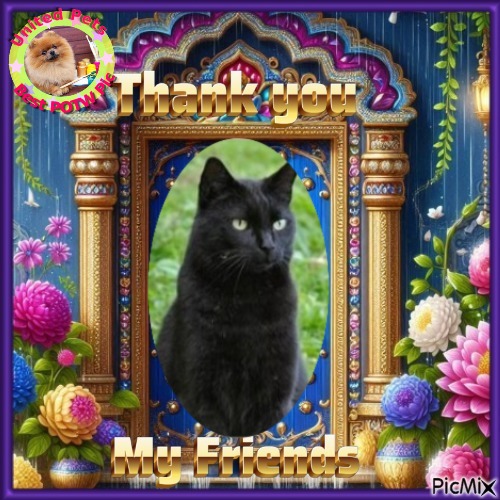 Nikita of the Asiya family