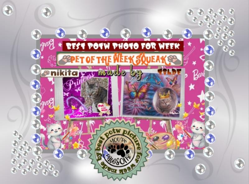 Asiya uploaded   89  day/s  ago