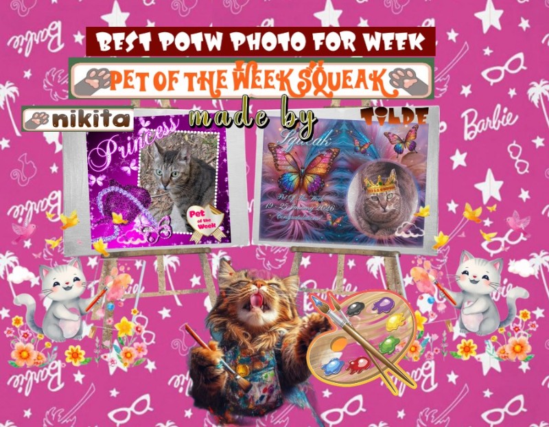 Asiya uploaded   89  day/s  ago