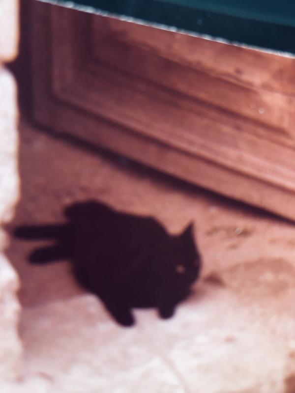 Asiya uploaded   195  day/s  ago