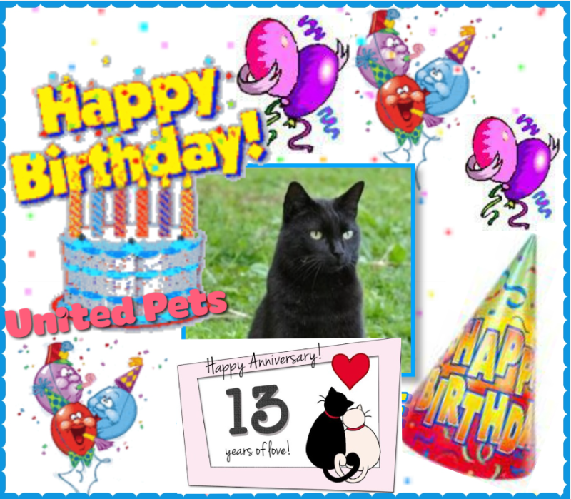 Nikita of the Asiya family