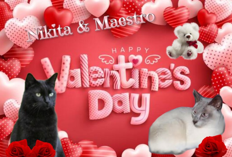 Nikita of the Asiya family