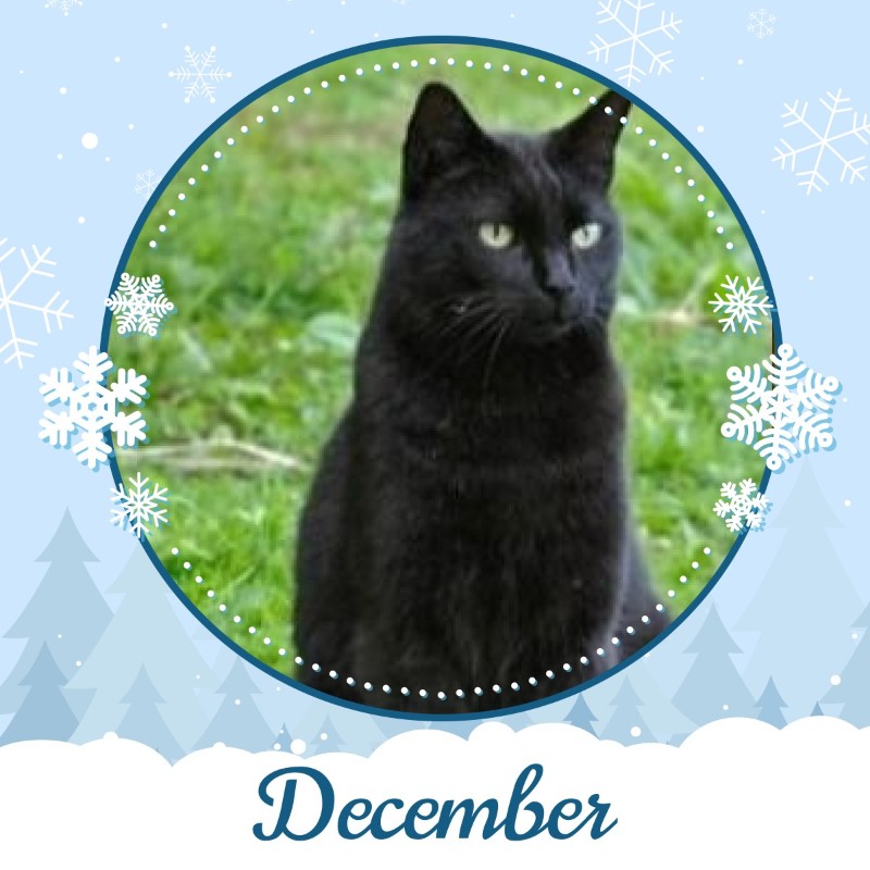 Nikita of the Asiya family