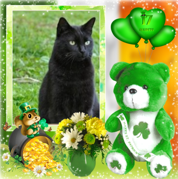 Nikita of the Asiya family