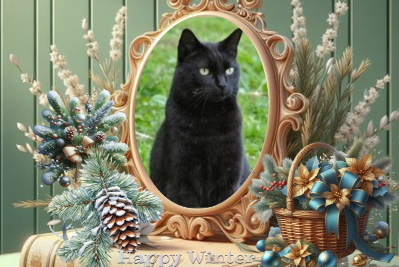 Nikita of the Asiya family