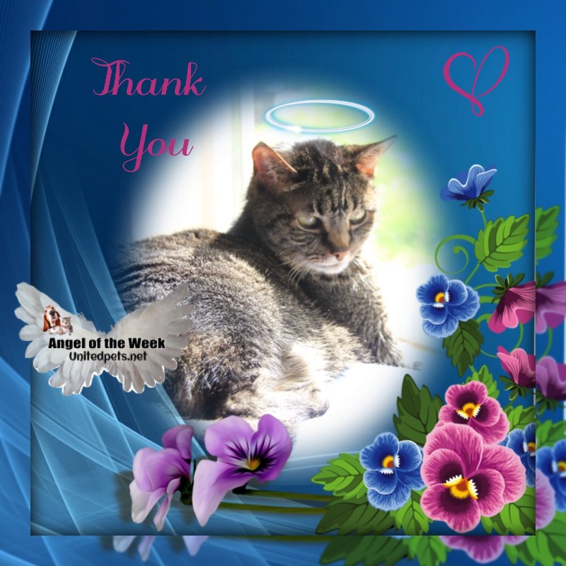 Nikita of the Asiya family