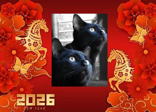 Nikita of the Asiya family