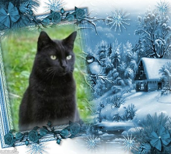 Nikita of the Asiya family