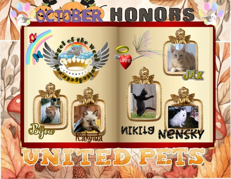 Nikita of the Asiya family