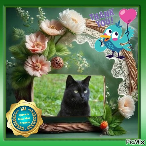 Nikita of the Asiya family