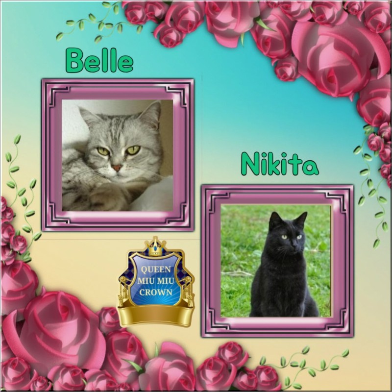 Nikita of the Asiya family