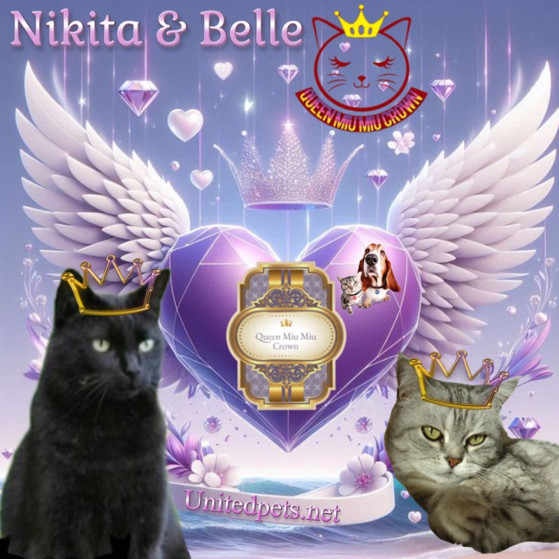 Nikita of the Asiya family
