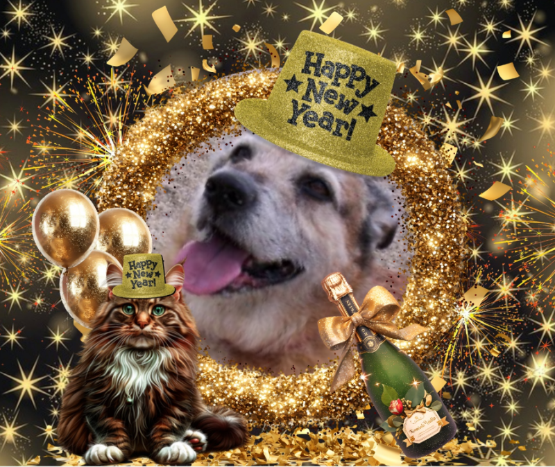 Freddy of the Asiya family