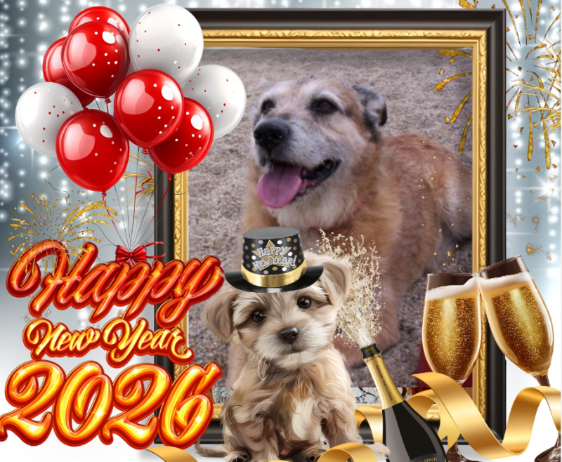 Freddy of the Asiya family