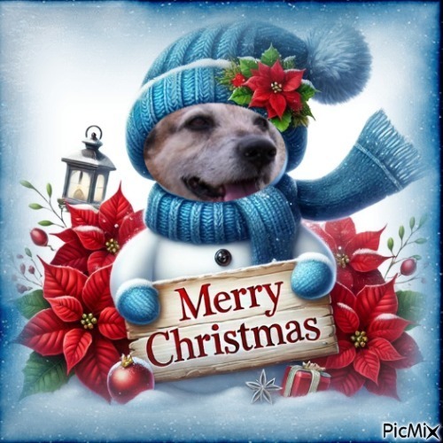 Freddy of the Asiya family