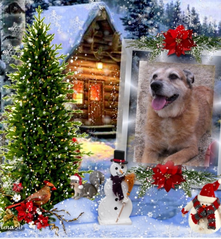 Freddy of the Asiya family