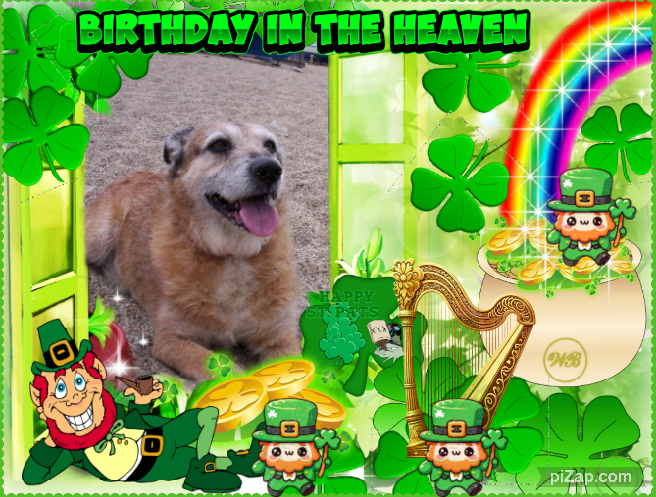 Asiya uploaded   51  day/s  ago