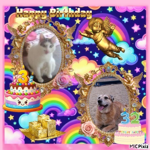 Asiya uploaded   50  day/s  ago