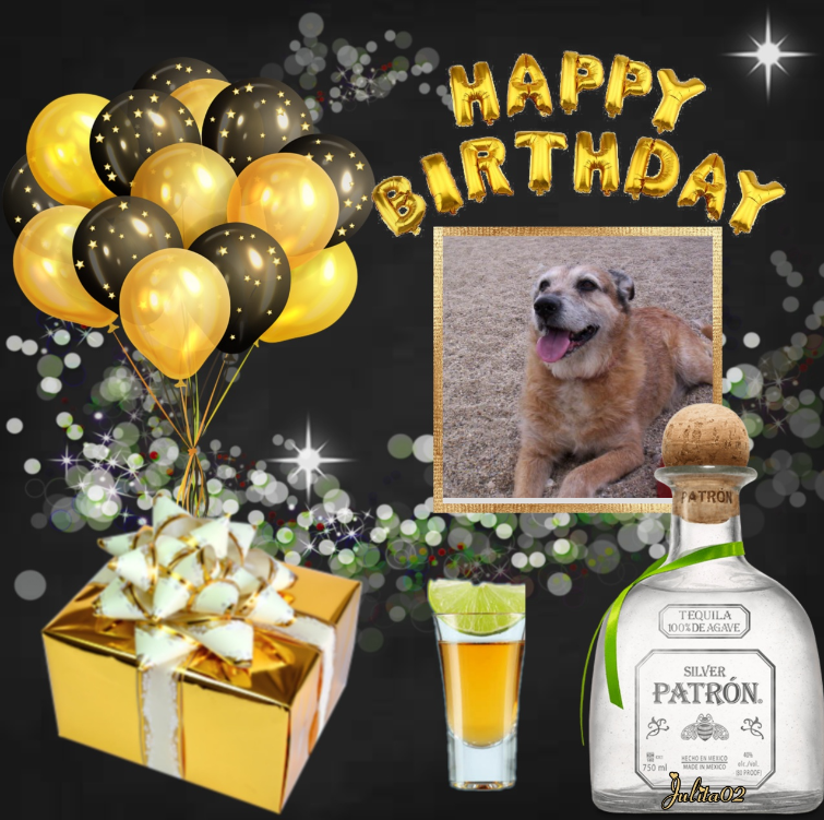 Asiya uploaded   51  day/s  ago