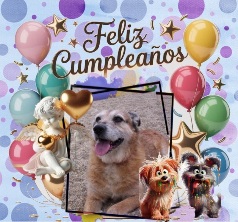 Asiya uploaded   51  day/s  ago